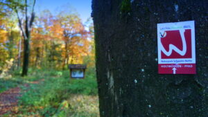 Mehr über den Artikel erfahren Tour 1211 – Wegberg – Holtmühlen-Pfad