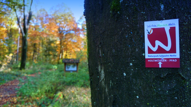 Am Start des Holtmühlen-Pfads