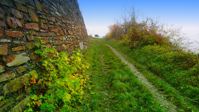 In den Weinbergen