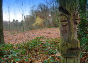 Mehr über den Artikel erfahren Tour 1216 – Viersen-Süchteln – Premium-Spazierwanderweg – Süchtelner Höhenrunde – SW4