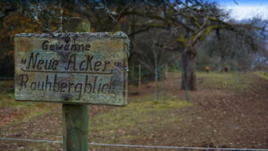 Mehr über den Artikel erfahren Tour 1217- Hauenstein – Hauensteiner Spazierwanderweg 7 – Steinbachweg