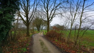 Mehr über den Artikel erfahren Tour 1224 – Bocholt-Suderwick – Auf Spurensuche im Münsterland 3