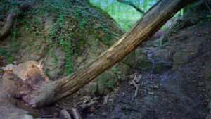 Mehr über den Artikel erfahren Tour 1237 – Essen – GeoTour Baldeneysee
