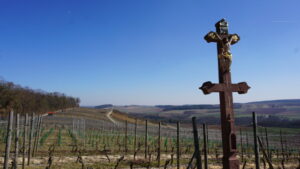 Mehr über den Artikel erfahren Tour 1238 – Külsheim – Rundwanderweg LT6 Wasser.Wein.Weite