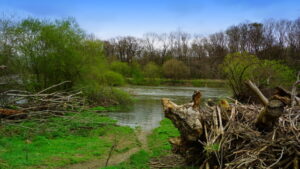 Mehr über den Artikel erfahren Tour 1240 – Lohmar – Unterwegs auf dem Aggerauenweg