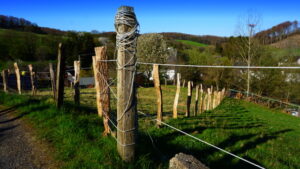 Mehr über den Artikel erfahren Tour 1242 – Kürten-Biesfeld – Wanderweg B3