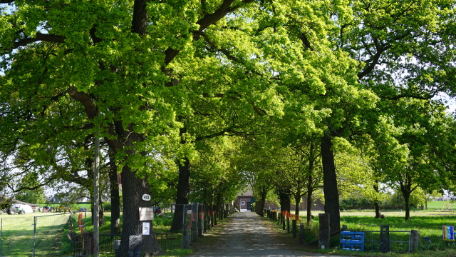 Hofzufahrt am Wegesrand