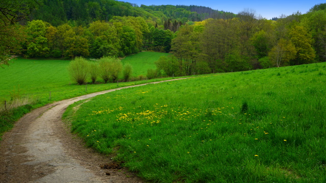 Grüne Hölle am Bergerhof