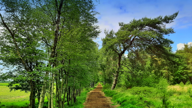 Unterwegs im D'ört Moor