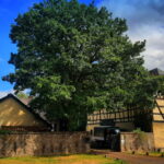 Forsthaus Schönwaldhaus