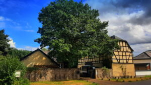 Mehr über den Artikel erfahren Tour 1257 – Wachtberg-Villip – Vom Forsthaus zum Jägerhäuschen