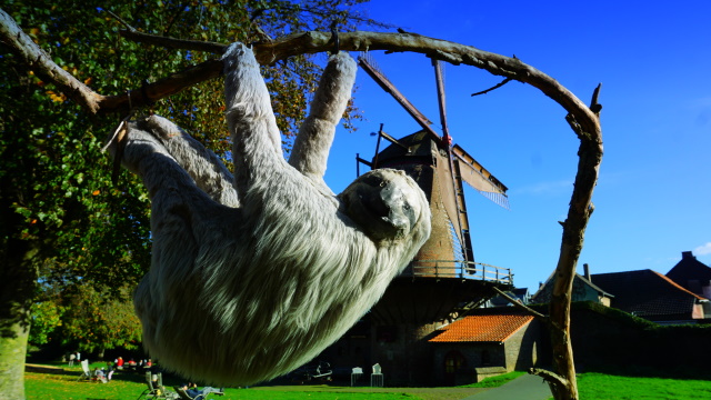 Faultier Helmut im Kurpark