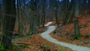 Mehr über den Artikel erfahren Tour 1273 – Niederlande – Velp – Veluwezoom auf der roten Route
