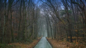 Mehr über den Artikel erfahren Tour 1277 – Straelen-Herongen – Napoleons Spuren