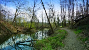 Mehr über den Artikel erfahren Tour 1281 – Niederlande – Venlo-Tegelen – Durchs das Jammerdal