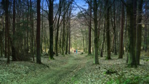Mehr über den Artikel erfahren Tour 1284 – Niederlande – Beek – Auf der blauen Route