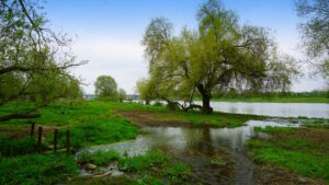 Mehr über den Artikel erfahren Tour 1287 – Niederlande – Venlo – Die Maas herunter und wieder hinauf