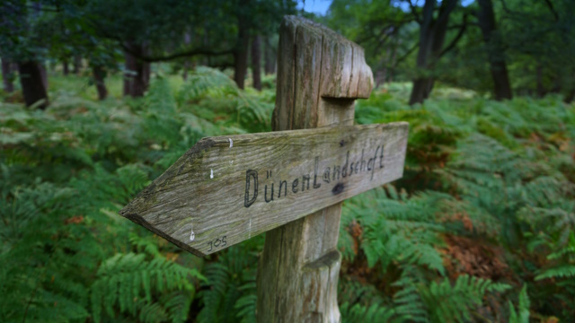 Hier geht es zur Dünenlandschaft