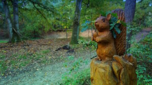 Mehr über den Artikel erfahren Tour 1298 – Haltern am See – Der Hohe Mark Steig – Etappe 5b/6 – Von Flaesheim nach Oer-Erkenschwick