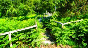 Mehr über den Artikel erfahren Tour 1303 – Niederkrüchten-Elmpt – Kleiner Grenzverkehr