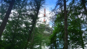 Mehr über den Artikel erfahren Tour 1307 – Haltern am See – Holtwick – Auf dem A2 zu den Hexenbuchen