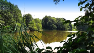 Mehr über den Artikel erfahren Tour 1313 – Bielefeld – Auf dem A1 um den Bockschatzteich