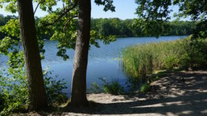 Mehr über den Artikel erfahren Tour 1319 – Lehnin – Unterwegs auf dem Emsterquellweg