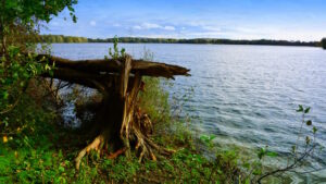 Mehr über den Artikel erfahren Tour 1320 – Hünxe – Einmal um den Tenderingssee