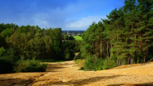 Mehr über den Artikel erfahren Tour 1322 – Niederlande – Beek – Auf der violetten Route