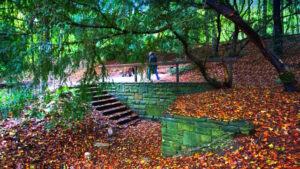 Mehr über den Artikel erfahren Tour 1329 – Krefeld – Der Geopfad am Hülser Berg