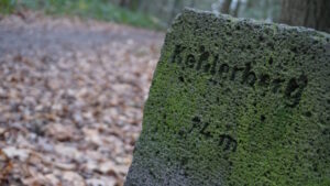 Mehr über den Artikel erfahren Tour 1335 – Kranenburg-Nütterden – Von den sieben Quellen durch den Reichswald