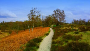 Mehr über den Artikel erfahren Tour 1345 – Niederlande – Wellerloi – Eine Geburtstagsrunde