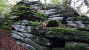 Mehr über den Artikel erfahren Tour 1354 – Fürstenstein – Einmal um den „Hoher Stein“
