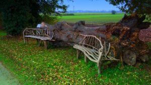 Mehr über den Artikel erfahren Tour 1357 – Hamminkeln-Wertherbruch – Wanderweg W1C