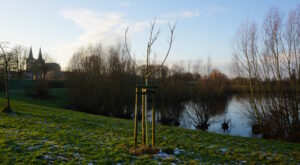 Mehr über den Artikel erfahren Tour 1361 – Xanten – Flachwasserzone und Kurpark