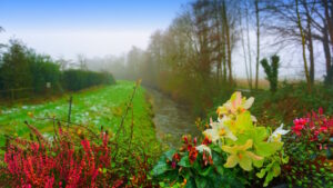 Mehr über den Artikel erfahren Tour 1363 – Hamminkeln-Marienthal – So war’s einmal – B1A