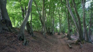 Mehr über den Artikel erfahren Tour 1381 – Wegberg – Route Wegberger Mühle