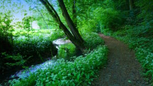 Mehr über den Artikel erfahren Tour 1382 – Bad Münder am Deister-Eimbeckhausen – Durch das liebliche Walterbachtal