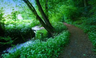 Im lieblichen Walterbachtal