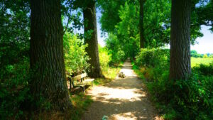 Mehr über den Artikel erfahren Tour 1387 – Meerbusch- Lank-Latum – Auf dem A11 durch den Herrenbusch