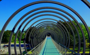 Slinky Springs to Fame