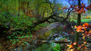 Mehr über den Artikel erfahren Tour 1395 – Auteal-Rheren – Entspannt an der Aue – Weg der Selbstzuwendung