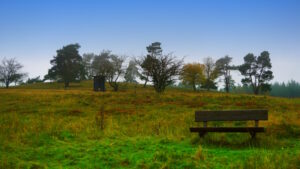 Mehr über den Artikel erfahren Tour 1396 – Arft – Die Arfter Runde in Rot