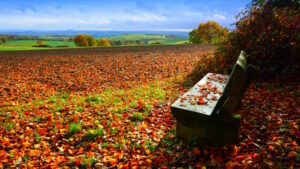 Mehr über den Artikel erfahren Tour 1397 – Obermendig – Traumpfädchen Mendiger Römereich