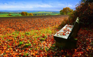 Blick über das Mendiger Römerreich