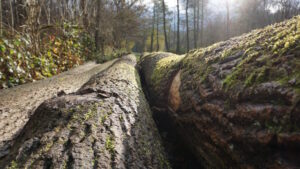 Mehr über den Artikel erfahren Tour 1401 – Krefeld – Unterwegs auf dem Johansenweg