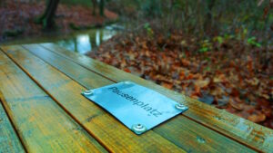 Mehr über den Artikel erfahren Tour 1409 – Mönchengladbach-Giesenkirchen – Auf dem Waldlehrpfad Haus Horst