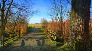 Mehr über den Artikel erfahren Tour 1411 – Monheim – Entdeckerschleife – Baumberger Aue