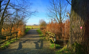 Vom Altrhein in die Felder