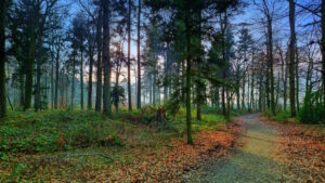Mehr über den Artikel erfahren Tour 1413 – Bad Rothenfelde – TERRA.track Wellengarten